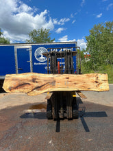 Live Edge Spalted Black Oak Slab 111"L x 18-20 1/2"W x 3"T